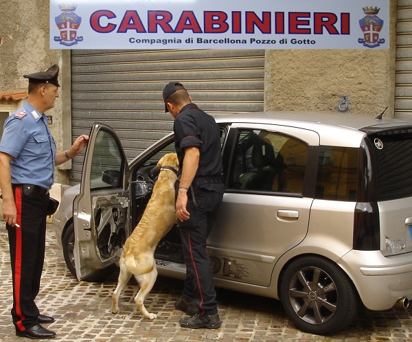 foto repertorio controlli Carabinieri Cinofili