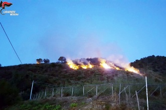 Foto incendio 3