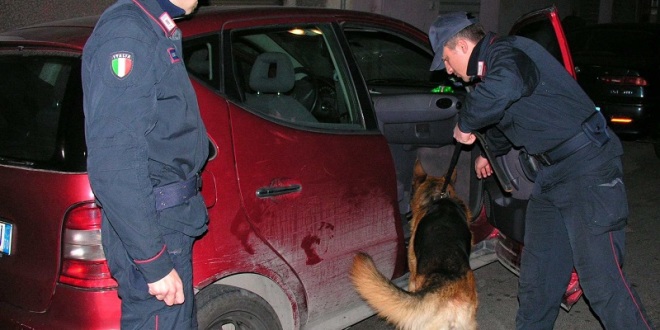 foto di repertorio Carabinieri cinofili in attività