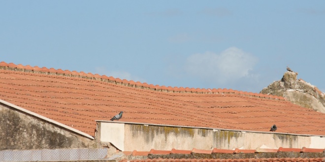 Termini Imerese tetto a rischio crollo Collegio dei Gesuiti