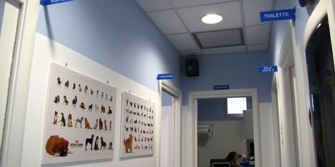 Ambulatorio-Veterinario-800x509