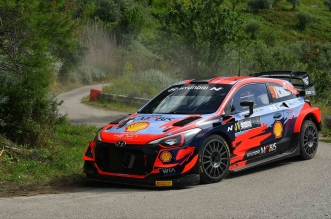 Thierry Neuville, Martijn Wydaeghe (Hyundai I20 Coupe WRC #901)